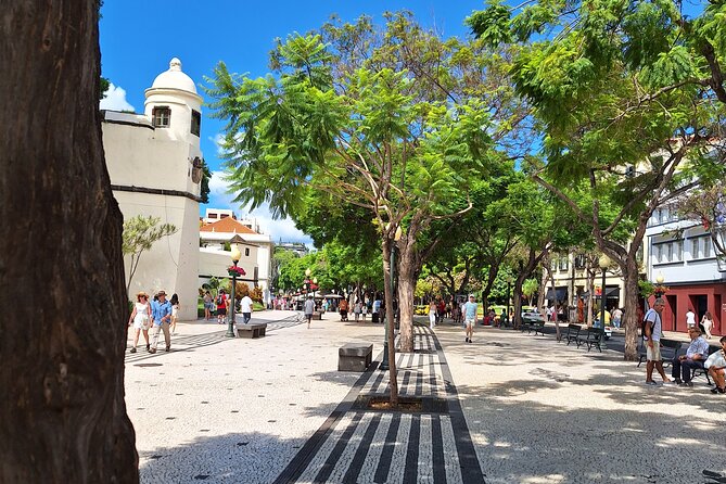 2-Hour Funchal City & Madeira Wine Experience - Stop 3: Cathedral of Our Lady of the Assumption for a landmark break