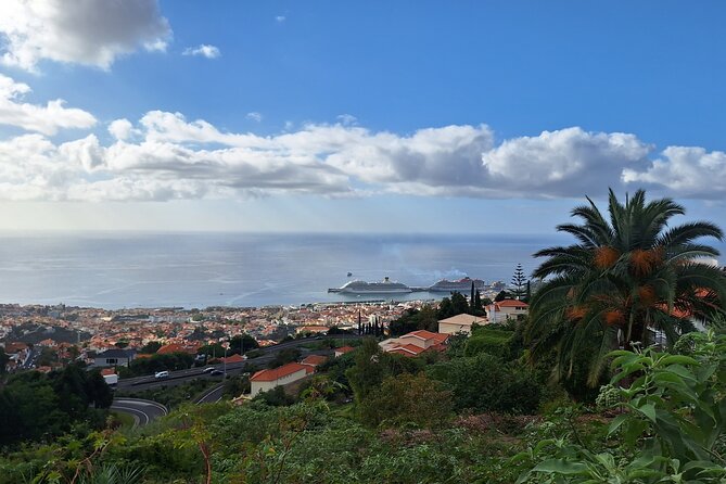 2-Hour Funchal City & Madeira Wine Experience - The guide factor: why the tour feels personal when it stays small