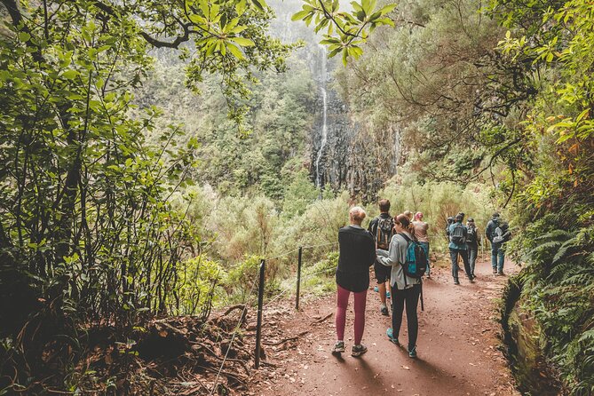 25 Fountains Levada: Hiking Tour in Madeira Rabaçal Valley (PR6) - That 800 m Tunnel: What to Expect and What to Pack