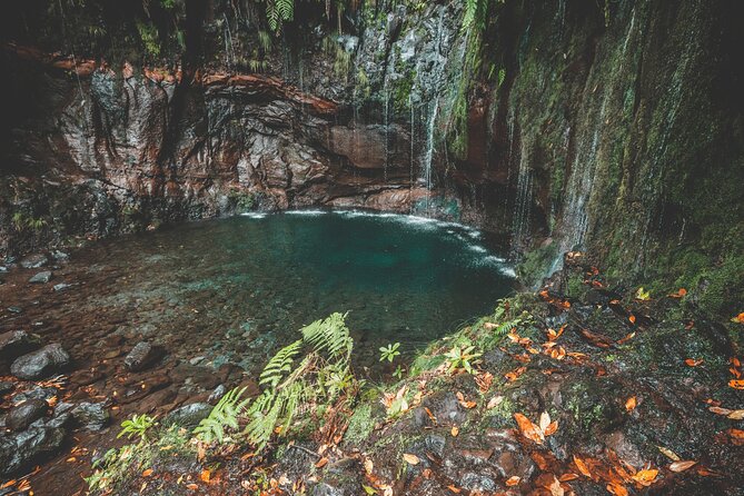 25 Fountains Levada: Hiking Tour in Madeira Rabaçal Valley (PR6) - Pace and Fitness: What Moderate Really Means on PR6