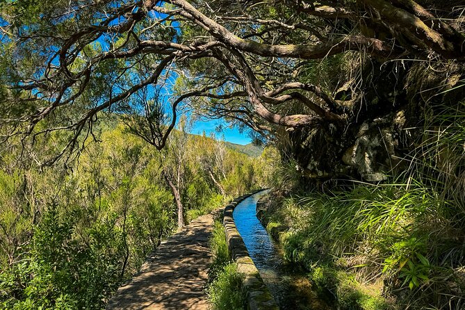 25 Fountains Levada: Hiking Tour in Madeira Rabaçal Valley (PR6) - Transport, Timing, and Why the Start Time Matters