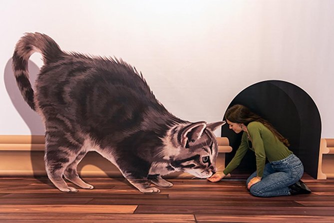 3D Fun Art Museum Funchal - How 3D Fun Art Museum Fits Madeira Rain Days