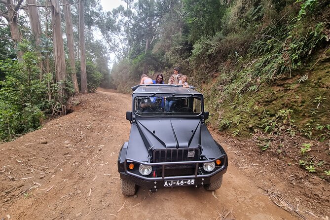5 Hours Private tour To Porto Moniz, Rock pools, waterfalls - Stop 1: Ribeira Brava valley stop for agriculture and easy coastal rhythm (45 minutes)