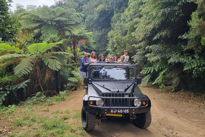 5 Hours Private Tour to Santana, Thatched houses - Ribeiro Frio: Laurissilva nature and levada starting-point energy