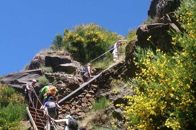 Achadas Teixeira- Pico Ruivo -& Pico pedras/Queimadas forest walk - Your guide makes the hike, Maria, Sandra, Elton, and the rest