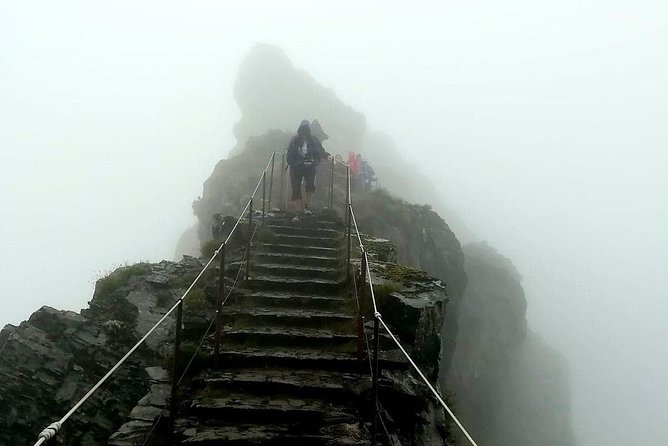 Achadas Teixeira- Pico Ruivo -& Pico pedras/Queimadas forest walk - Price and value: $54.42 for a guided summit day