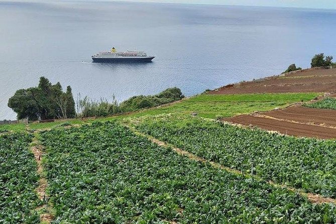 Agriculture Green Tour - Why This Madeira Agriculture Tour Feels Like a Local Day