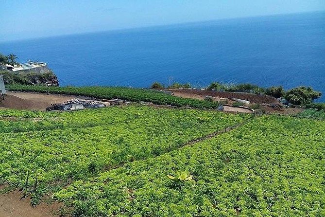 Agriculture Green Tour - The Drive, the Cable Car Viewpoint, and the Mountain-Ready Schedule