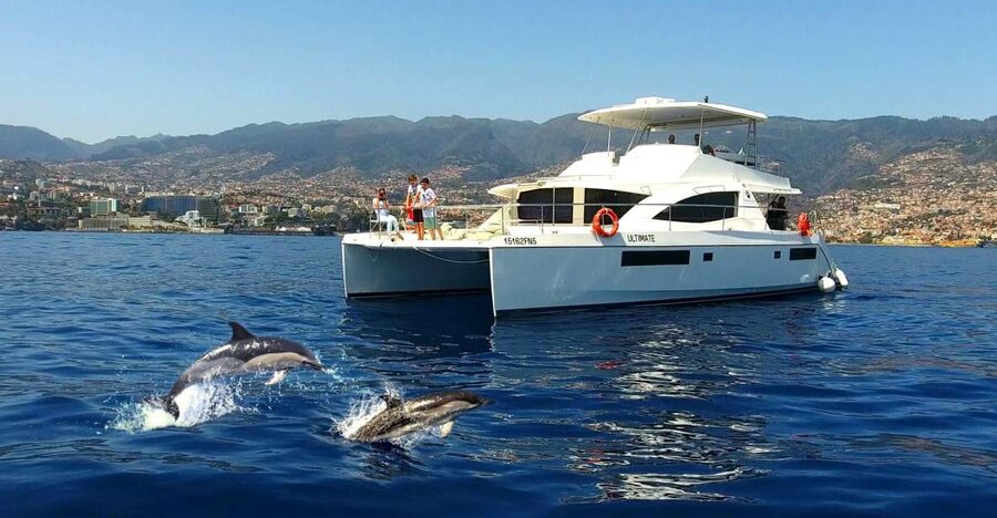 All Inclusive Whale and Dolphin Watching Luxury Tour - Boarding in Funchal: where the tour starts and how it feels on day one