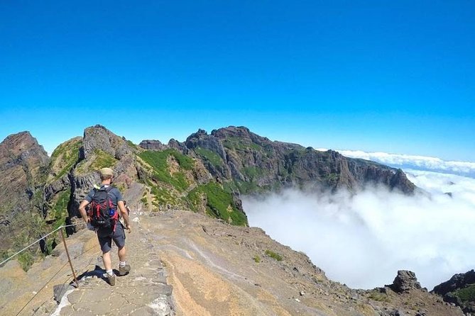 All Madeira In 2 Days Tour - Price and value: why $72.41 can make sense here