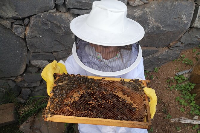 Amazing experience with Bees, honey and Pollen in Madeira Island - What to Wear, Bring, and Expect Around Bees