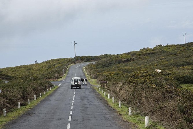 Amazing West - Jeep Safari Tour - Full Day - Shared Tour - The 1,400m plateau viewpoint and Posto Florestal Fanal at 20 minutes