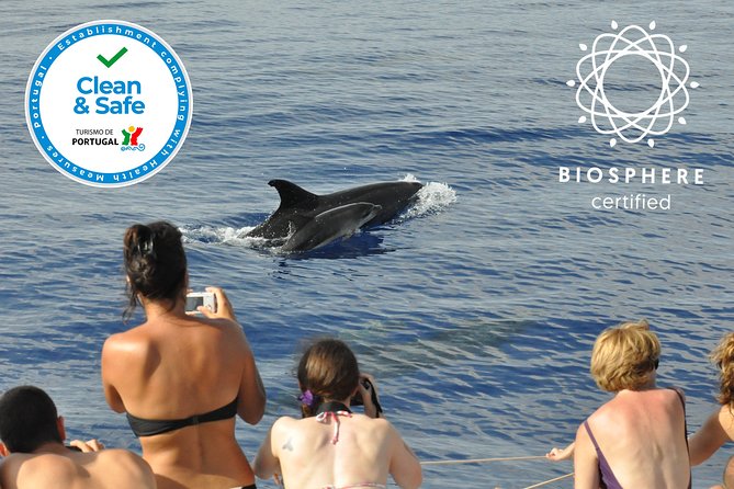 Arieiro Peak and Cristo Rei 4x4 Experience + Dolphins Watching - Who This Tour Fits Best (and Who Should Skip It)