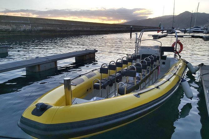 Basic Tour 1 - Cais do Sardinha to Quinta do Lorde (one way) - Best For: Who Should Book This Boat?