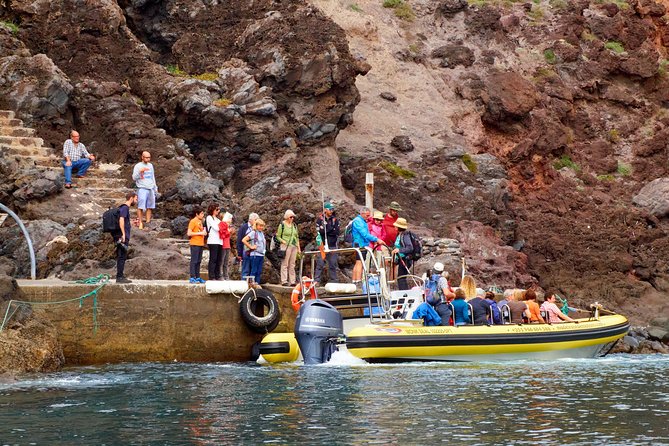 Basic Tour 2 - Quinta do Lorde to Cais do Sardinha and return - Wildlife Chances: Whales and Dolphins Are Possible, Not Guaranteed