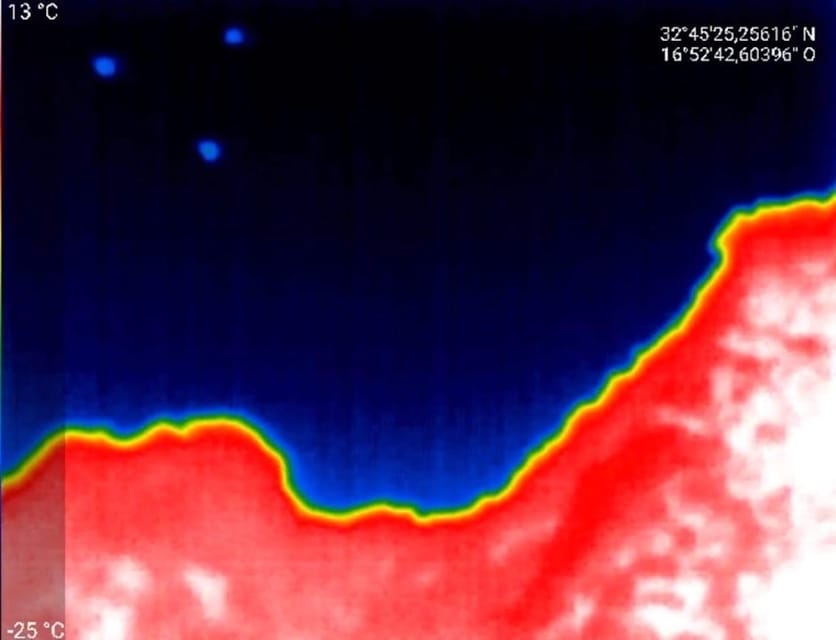 Bat Watching Madeira - Transfers and Small Group Vibe: Easy, Not Crowded