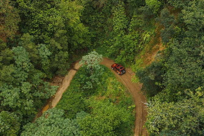 Bespoke adventure in Madeira with pick-up - Guides You Might Meet, and Why Their Style Matters