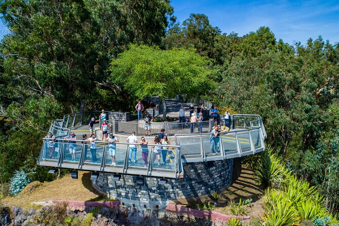 Bestselling Wine Tour, Tasting Experience & Skywalk 4x4 Adventure - Why this 4x4 wine tour is more than a tasting