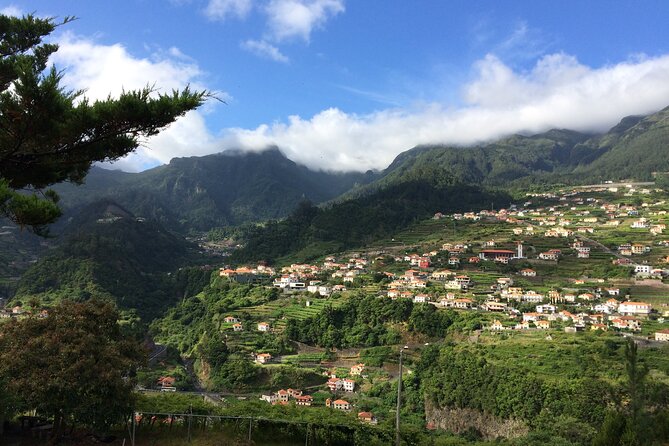 Bestselling Wine Tour, Tasting Experience & Skywalk 4x4 Adventure - Quinta do Barbusano: six wines and toast cheese (with a real price tag)