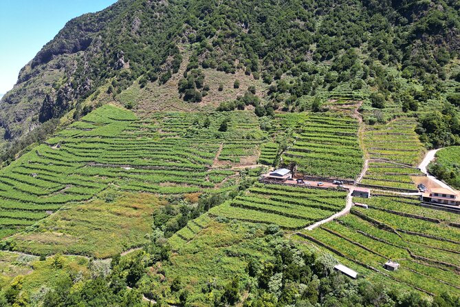 Bestselling Wine Tour, Tasting Experience & Skywalk 4x4 Adventure - Who gets the best value from this tour