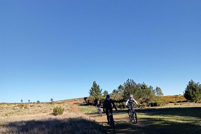 Botanical Trails of Madeira. Mountain biking Trail Experience - Bike, guide, and included support that actually matters
