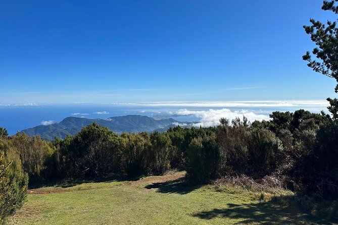 Botanical Trails of Madeira. Mountain biking Trail Experience - Price and value: what you really pay for at $96.12