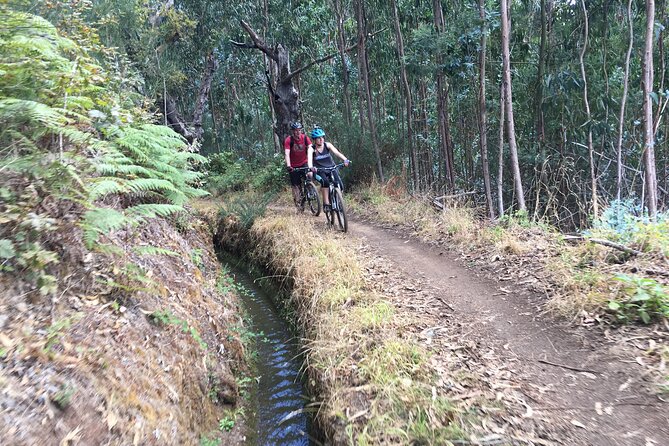 Botanical Trails of Madeira. Mountain biking Trail Experience - Timing and the weather reality on Madeira