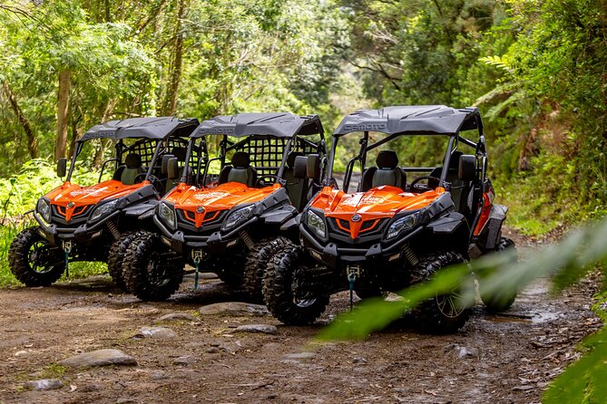 Buggy Adventure in Madeira off Road - Casa das Funduras: the practical stop that adds context