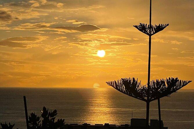 CABO GIRÃO (Half Day tour/3h) / Private Classic Car (4L). - Pickup in Funchal, including the port option