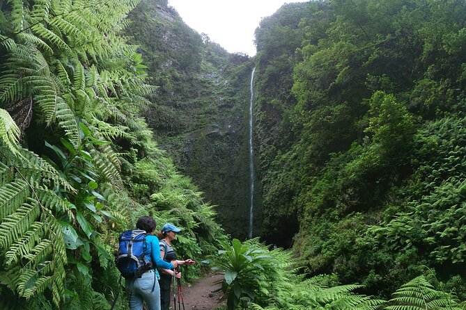 Caldeirão Verde Levada (PR 9) - Guided Madeira Levada Walk - The real story on pacing: enjoying the area versus covering the route