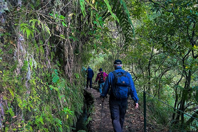 Caldeirão Verde Levada (PR 9) - Guided Madeira Levada Walk - Pickup, transport, and why the small group size changes everything