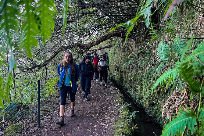 Caldeirão Verde Levada (PR 9) - Guided Madeira Levada Walk - Who should choose Caldeirão Verde (PR9), and who should skip it
