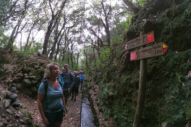 Caldeirão Verde Levada (PR 9) - Guided Madeira Levada Walk - Tunnels, caves, and narrow levada edges: the parts that can surprise you