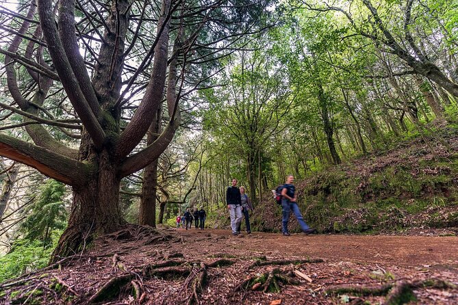 Caldeirão Verde Levadas Walk in Madeira - Views, caves, and heights: how to judge your comfort level