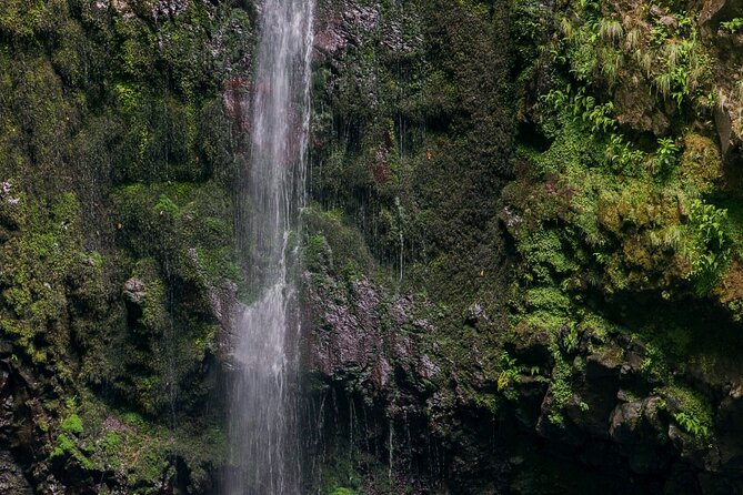 Caldeirão Verde Levadas Walk in Madeira - Guide style: what to look for and who might lead you
