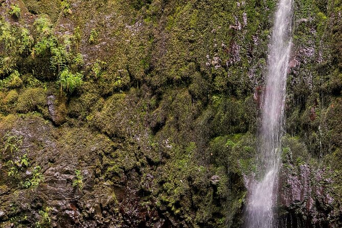 Caldeirão Verde Levadas Walk in Madeira - Difficulty and what to pack so the day stays enjoyable