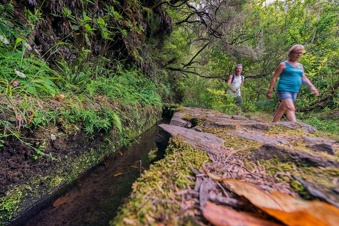 Caldeirão Verde Levadas Walk in Madeira - Crowds, pacing, and photo time: realistic expectations