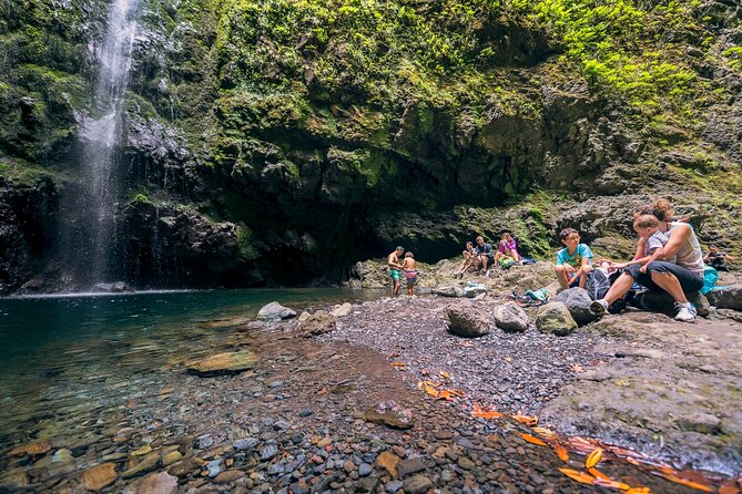 Caldeirão Verde Levadas Walk in Madeira - Price and value: what $52.86 buys you in real life