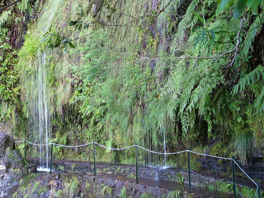 Caldeirão Verde: Queimadas PR9 Transfer and Self-Guided Hike - How hard is PR9, really: elevation range vs 15 km on foot