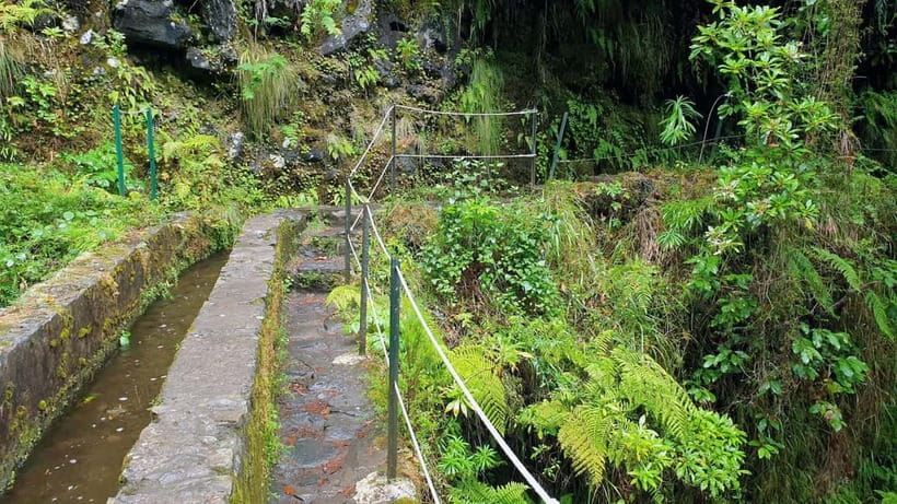 Caldeirão Verde: Queimadas PR9 Transfer and Self-Guided Hike - Timing and crowds: why starting earlier can feel like cheating