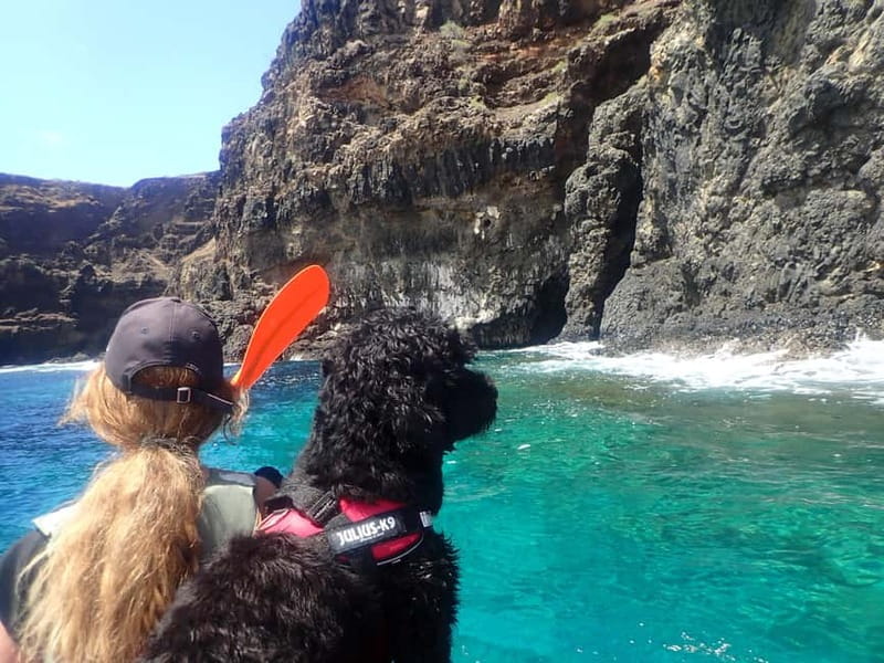 Calheta Kayak Adventure - Should you book the Calheta Kayak Adventure?