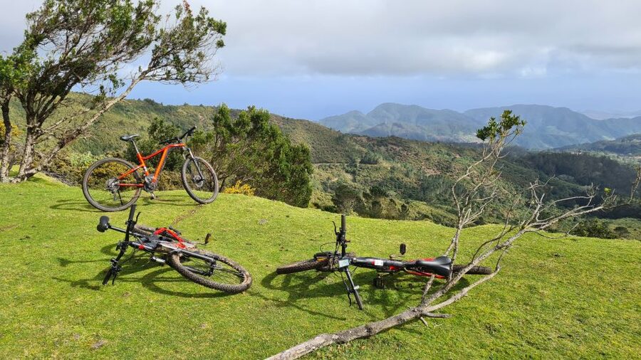Camacha: Levada Trail e-Bike Guided Tour - Downhill Through Oaks, Then Back Into the Levada Toward Camacha