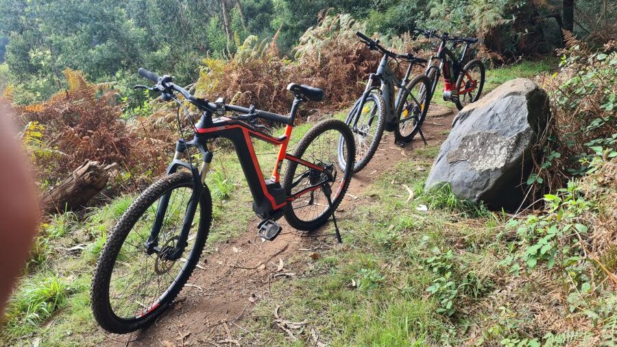 Camacha: Levada Trail e-Bike Guided Tour - Camacha to the Laurel Forest: Why This E-Bike Ride Works