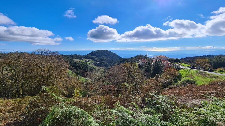 Camacha: Levada Trail e-Bike Guided Tour - Hotel Pickup and Van Transfer: Make It Easy on Yourself