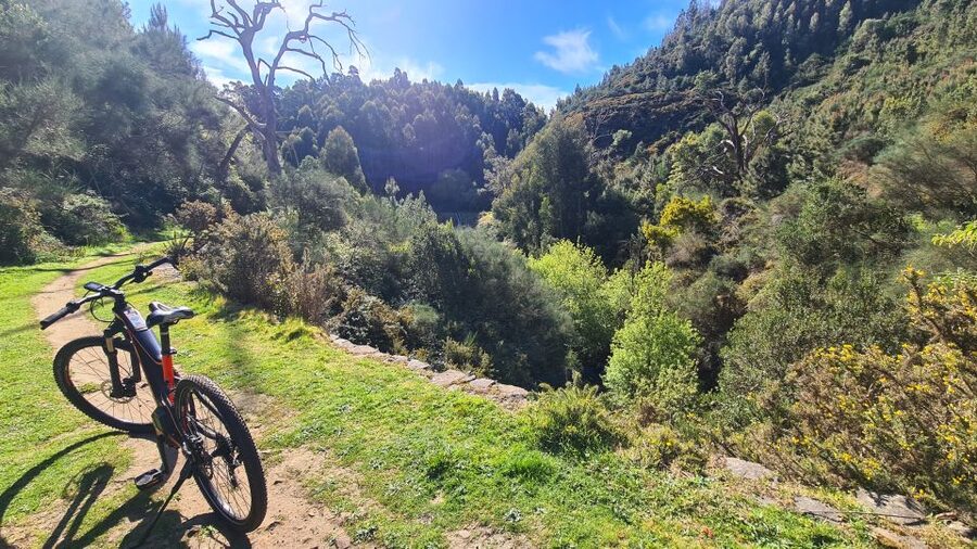 Camacha: Levada Trail e-Bike Guided Tour - Dirt Road Climb to a Viewpoint Over Santo da Serra