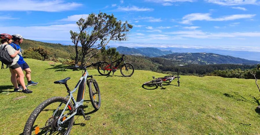 Camacha: Levada Trail e-Bike Guided Tour - A 3.5-Hour Morning That Adds Up (Without Feeling Rushed)