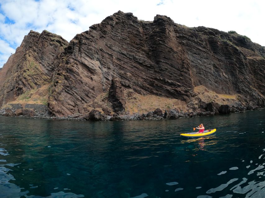 Câmara de Lobos: Private Guided Kayaking Tour in Madeira - Price and Value: What $82 Per Group Really Buys