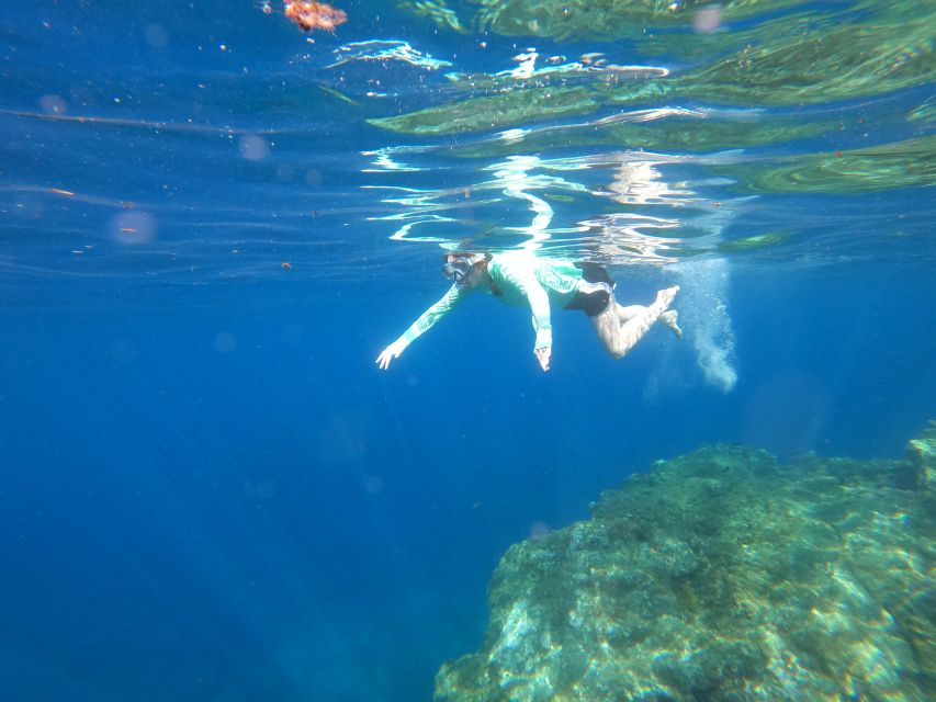 Câmara de Lobos: Private Guided Kayaking Tour in Madeira - Logistics That Matter: Meeting Point, No Hotel Pickup, and What to Bring