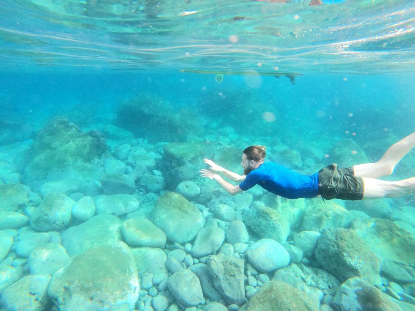 Câmara de Lobos: Private Guided Kayaking Tour in Madeira - Paddling Effort, Comfort, and When Weather Changes Everything