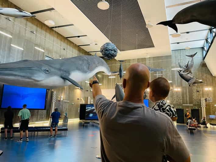 Caniçal : Madeira Whale Museum Entry ticket - Key highlights you should care about